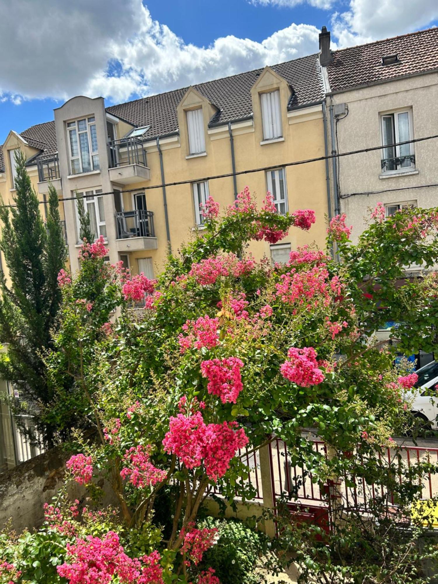 F3 Au Grenier D'Une Maison Масси Экстерьер фото